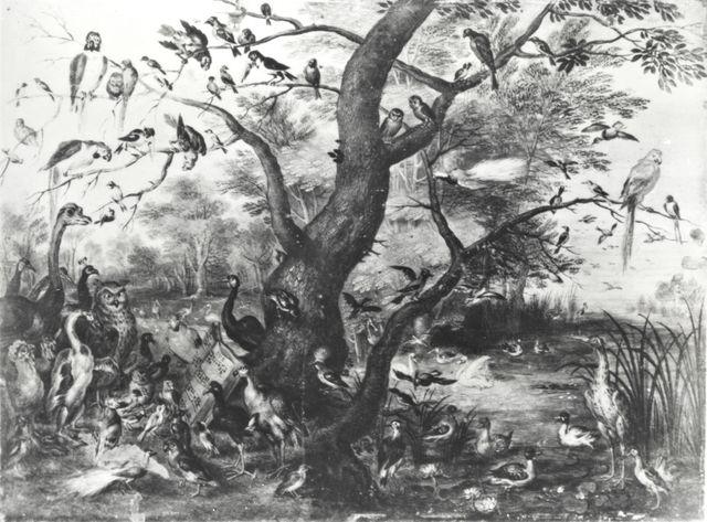 Anonimo — Kessel Jan van I (e bottega) - sec. XVII - Concerto di uccelli in un paesaggio — insieme